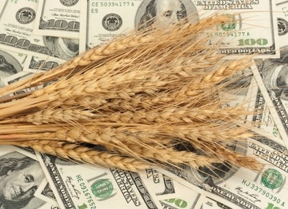 СБУ разоблачила многомиллионные махинации с зерном