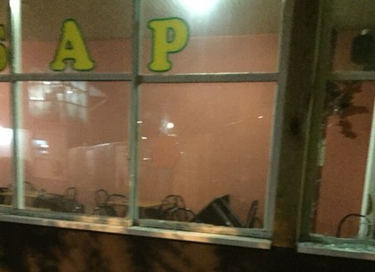 В милиции рассказали подробности дебоша в баре на Холодной Горе