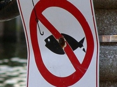 В Украине ввели ограничения на лов рыбы