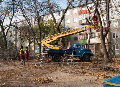 Как кронировали деревья на улице Тимуровцев