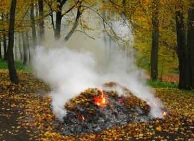 Два десятка пожаров за сутки: харьковчане продолжают жечь мусор и листву