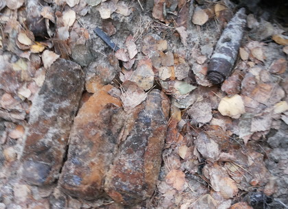 В харьковском лесу обнаружили авиабомбу, мины и снаряды