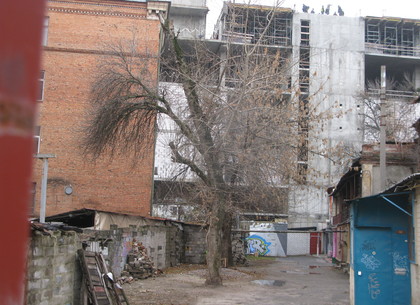 Байка о том, как на Слесарном переулке в Харькове было «стакановое» дерево (ФОТО)