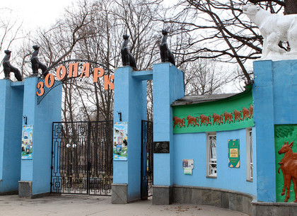 По вторникам Харьковский зоопарк приравнивает студентов к детям