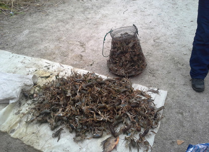На Харьковщине пойман браконьер с сеткой раков