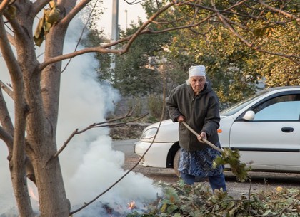 Октябрь, когда в Харькове жгли листья, побил рекорд по содержанию сажи в воздухе