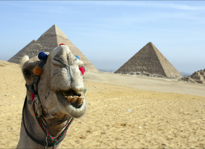 10% харьковчан сдали купленные заранее путевки в Египет