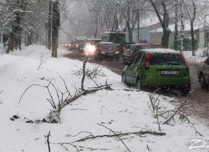 Харьков засыпает снегом: упавшие ветки, пробки и другие последствия стихии (Дополняется, ФОТО)