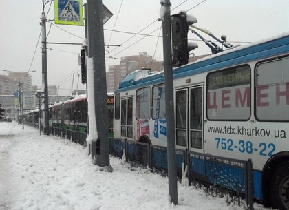 На проспекте Гагарина стали троллейбусы (ФОТО)