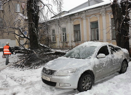 На Харьковщине продолжается ликвидация последствий стихии
