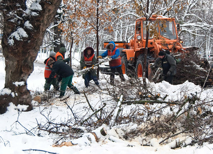 В Харькове убирают упавшие деревья