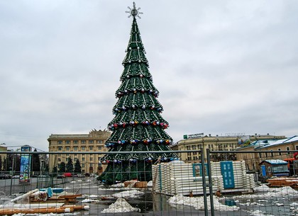 На площади Свободы установили елку (ФОТО)