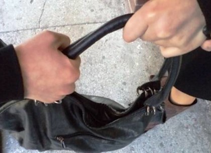 Харьковский рецидивист вырвал у женщины сумку и попал в руки полиции
