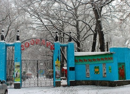 С субботы в Харьковском зоопарке – специальные цены