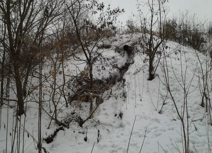 В лесу под Харьковом нашли мертвую женщину