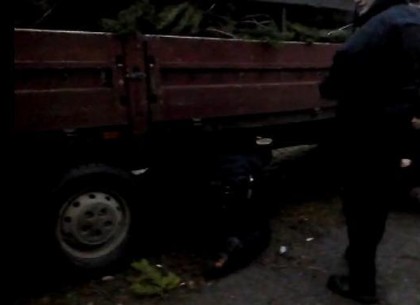 Продажа елок от браконьеров в Харькове, или Как мужчина прятался под машиной