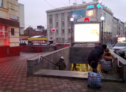 Когда прокладывали метро в Харькове, то нашли там ископаемую рыбу (ФОТО)