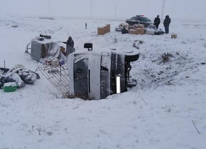 Под Харьковом микроавтобус с прицепом слетел в кювет, погибла пассажирка (ФОТО)