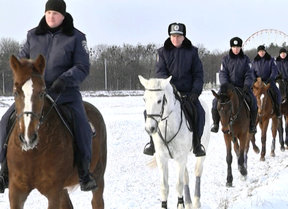 Харьковские полицейские-кавалеристы готовы к патрулированию