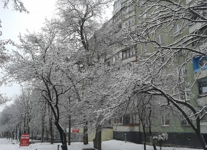 Прогноз погоды в Харькове на понедельник, 11 января