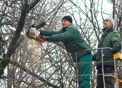 В Октябрьском районе Харькова обрезают деревья
