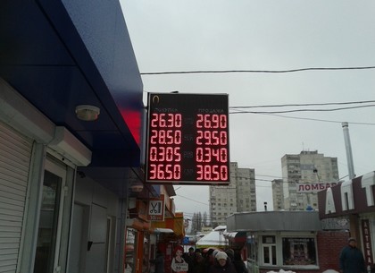 Сколько стоит доллар в Харькове: курсы валют на 19 января