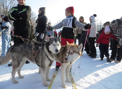 Лыжи и хаски: как проходил зимний фестиваль в Лесопарке