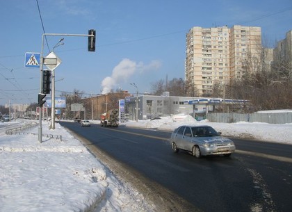 Лягушки весной мигрировали через улицу Клочковская в Харькове (ФОТО)