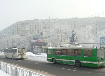 Движение троллейбусов на проспекте Победы планируют возобновить до 13:00