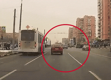 Собака, перебегающая дорогу, сотворила транспортный коллапс на Одесской (Обновлено, ВИДЕО)