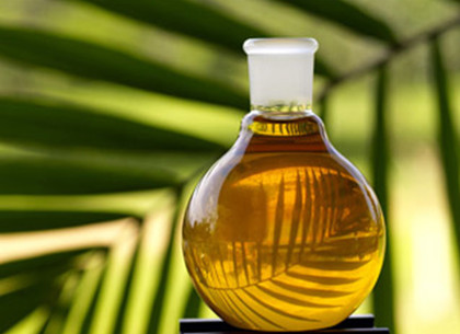 В Украине могут запретить добавлять пальмовое масло в продукты