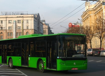 Город ищет перевозчиков для новых автобусных маршрутов