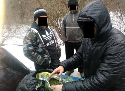 На Харьковщине у мужчины нашли килограмм конопли