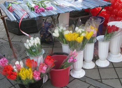 Почем в Харькове продают цветы к 8 Марта (Цены, ФОТО)