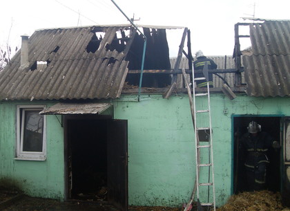 На пожарах под Харьковом погибли два человека