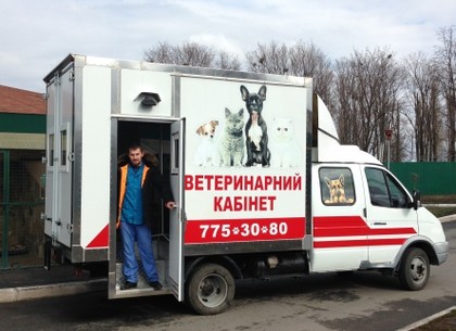 В Харькове появятся мобильные ветеринары для стерилизации домашних животных