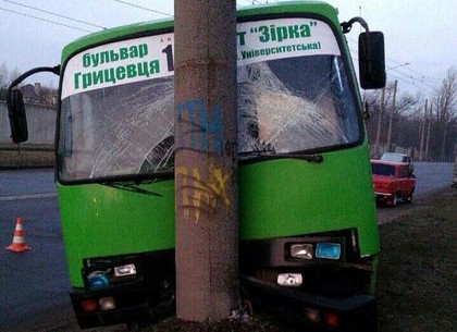 На Новых Домах автобус врезался в столб (ФОТО)