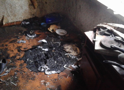 На Харьковщине спасатели вынесли парня из горящего дома