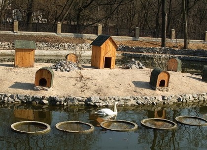 Харьковский зоопарк приглашает на птичий праздник
