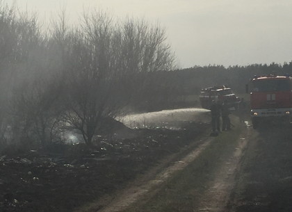 Сжигание травы привело к пожару на аэродроме под Волчанском (ФОТО)