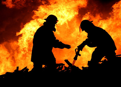 На Харьковщине участились пожары в природных экосистемах