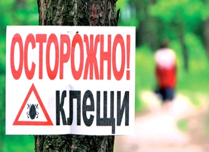 Харьковчан атакуют клещи: каждый четвертый - переносчик инфекций