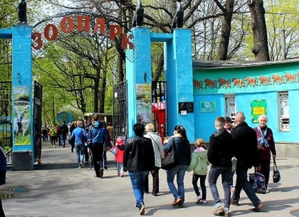 В воскресенье Харьковский зоопарк снова можно будет посетить бесплатно