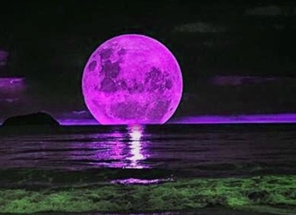Сегодня ночью розовая Луна вызовет отливы