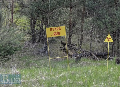 Порошенко распорядился создать Чернобыльский заповедник