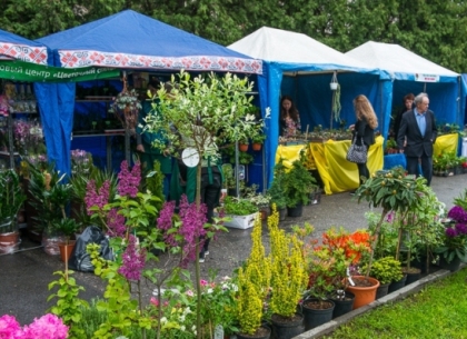 Традиционная выставка цветов расположилась на аллеях сада Шевченко (ФОТО)