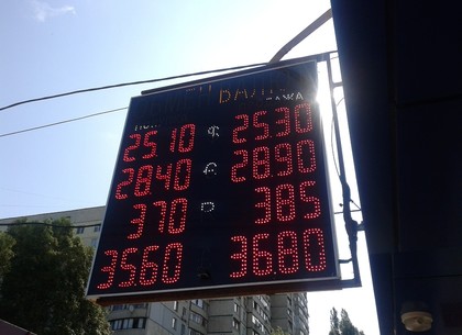 Курсы валют в Харькове и Украине на 13 мая