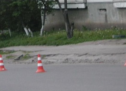 На внутриквартальной дороге Салтовки велосипедист сбил пенсионера
