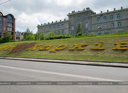 На улице Деревянко высадили цветник «Ми любимо Харків» (ФОТО)