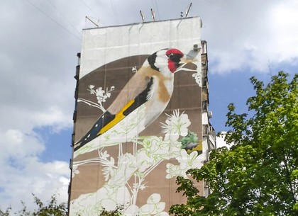 Серые многоэтажки на ХТЗ украсят огромными красочными птицами (ФОТО)